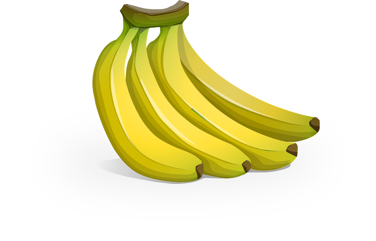 바나나관련사진