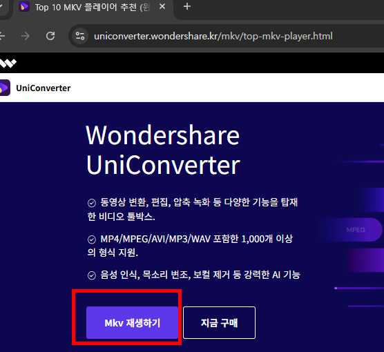 mkv 플레이어 다운로드 사이트