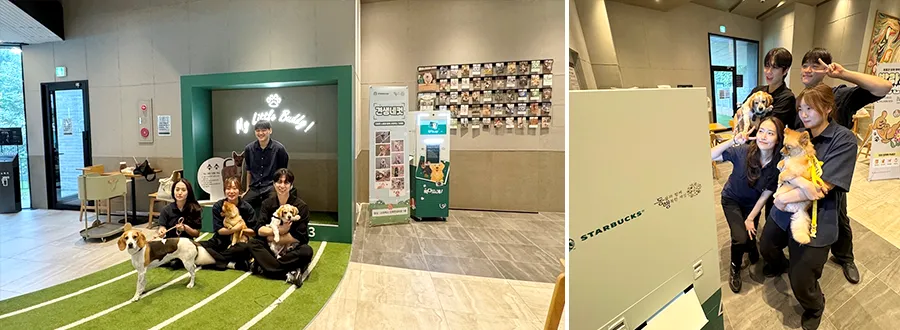 견생네컷 스타벅스 유기견 입양 캠페인 놀다가시개 더북한강R점 구리갈매DT점