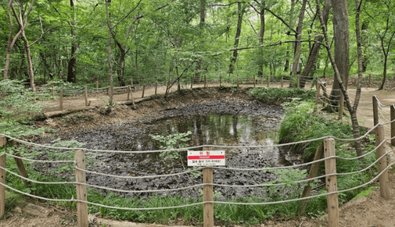 2025 세계유산 조선왕릉축전 – 동구릉 야별행 개요