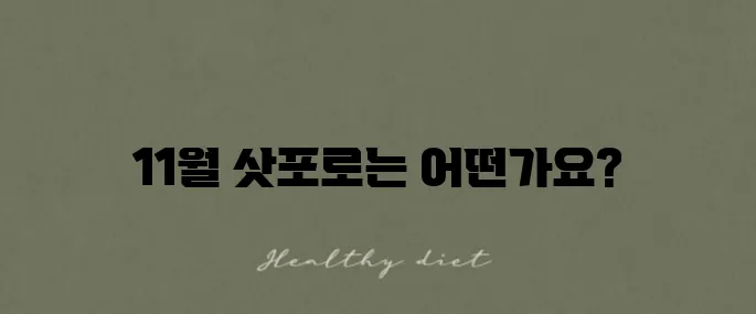 11월 삿포로의 날씨와 옷차림에 대한 일본 여행 후기입니다.