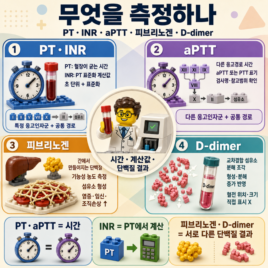 PT·INR, aPTT, 피브리노겐, D-dimer가 각각 무엇을 측정하는지 비교한 레고 스타일 메디컬 인포그래픽