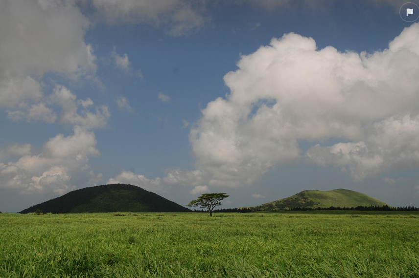 제주도 초보도 쉬운 오름 추천 3곳 관련사진.