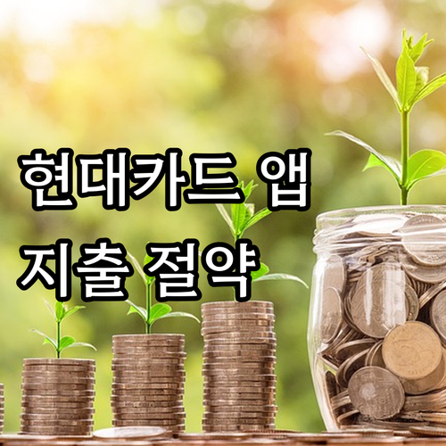 현대카드 앱, 시간 절약과 효율적인 ..