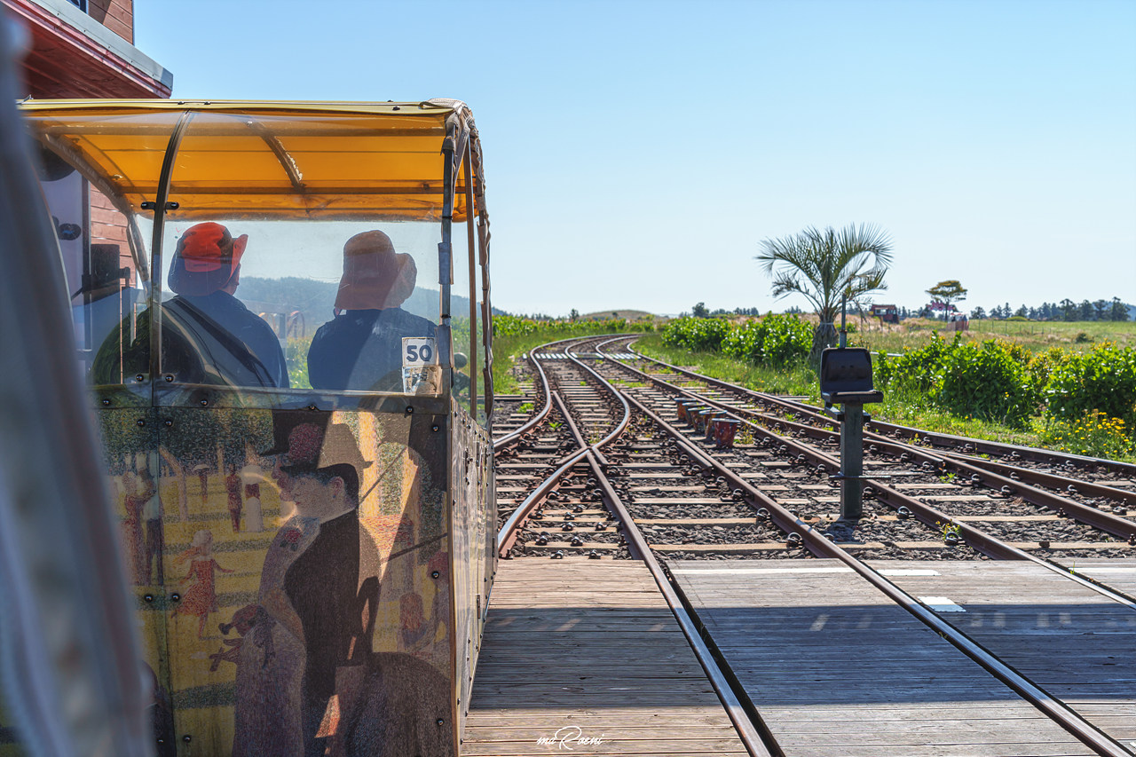 제주 레일바이크