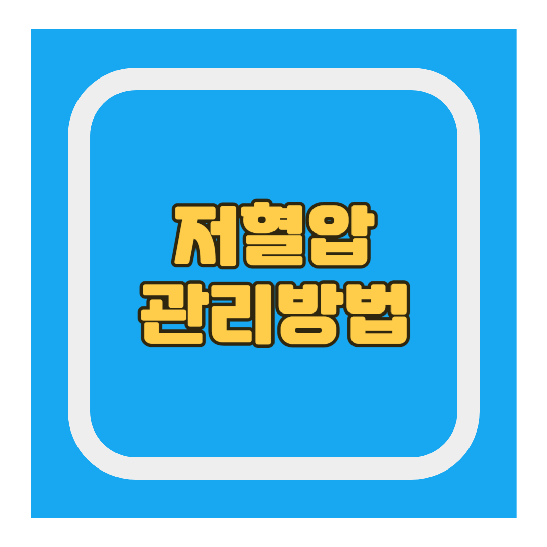 저혈압관리방법