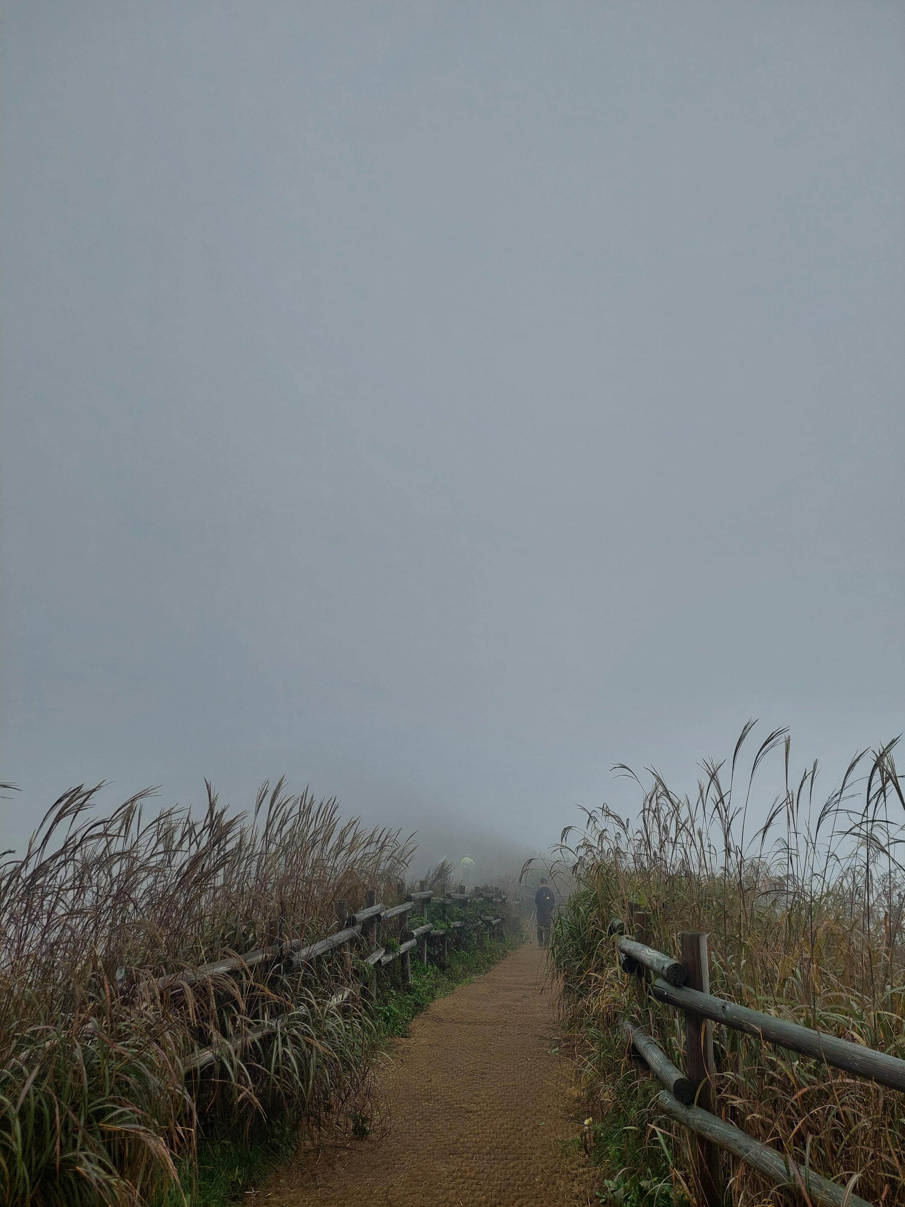 민둥산