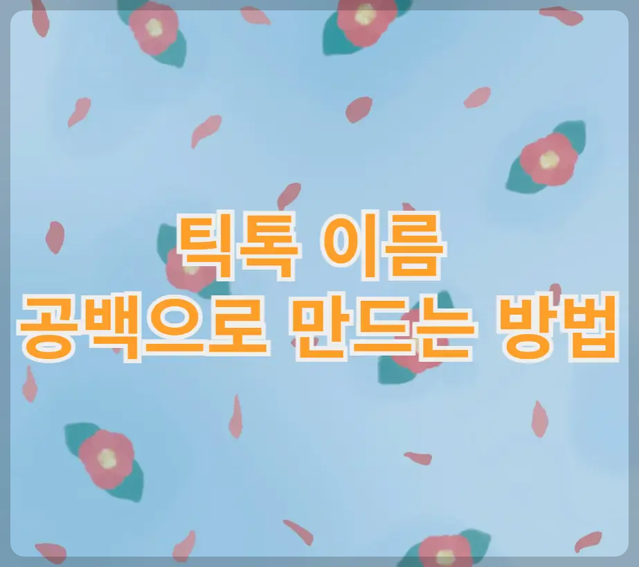 티톡 이름 공백으로 만드는 방법