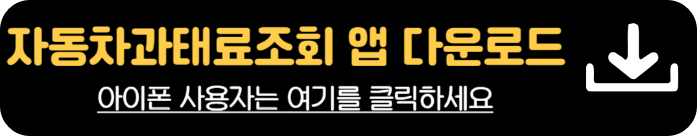 불법주정차 과속 속도위반 자동차 과태료 조회