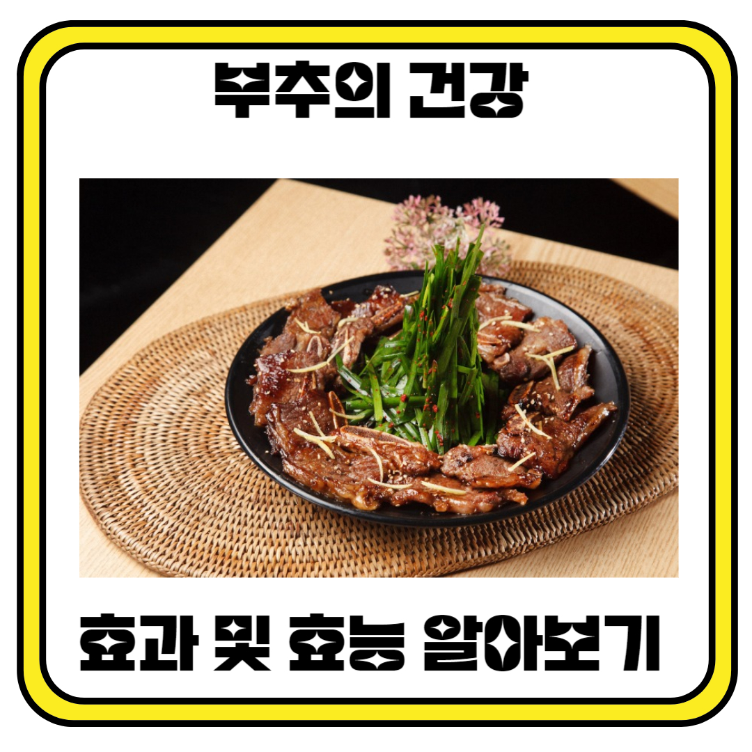 부추의 건강 효과 및 효능