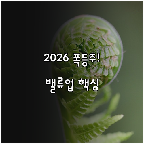 2026년 기업 밸류업 프로그램 수혜..