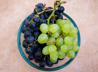 포도 2