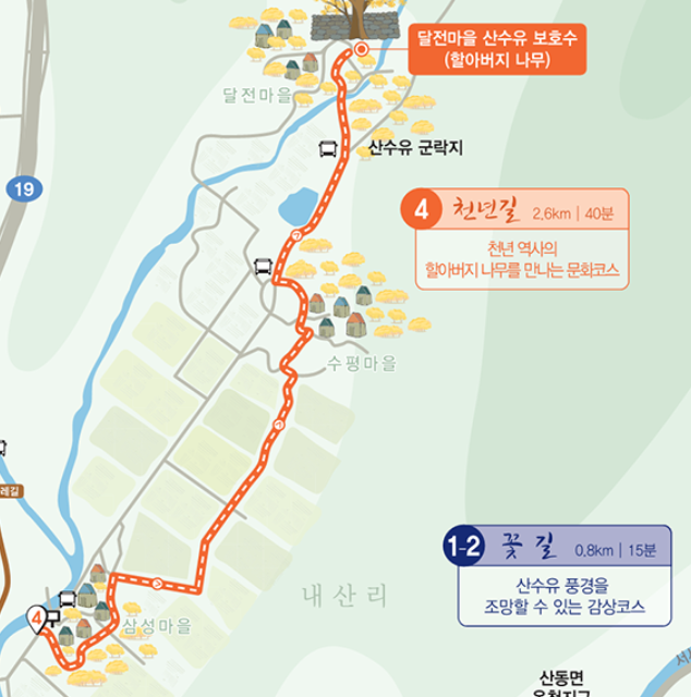 구례 산수유꽃 축제