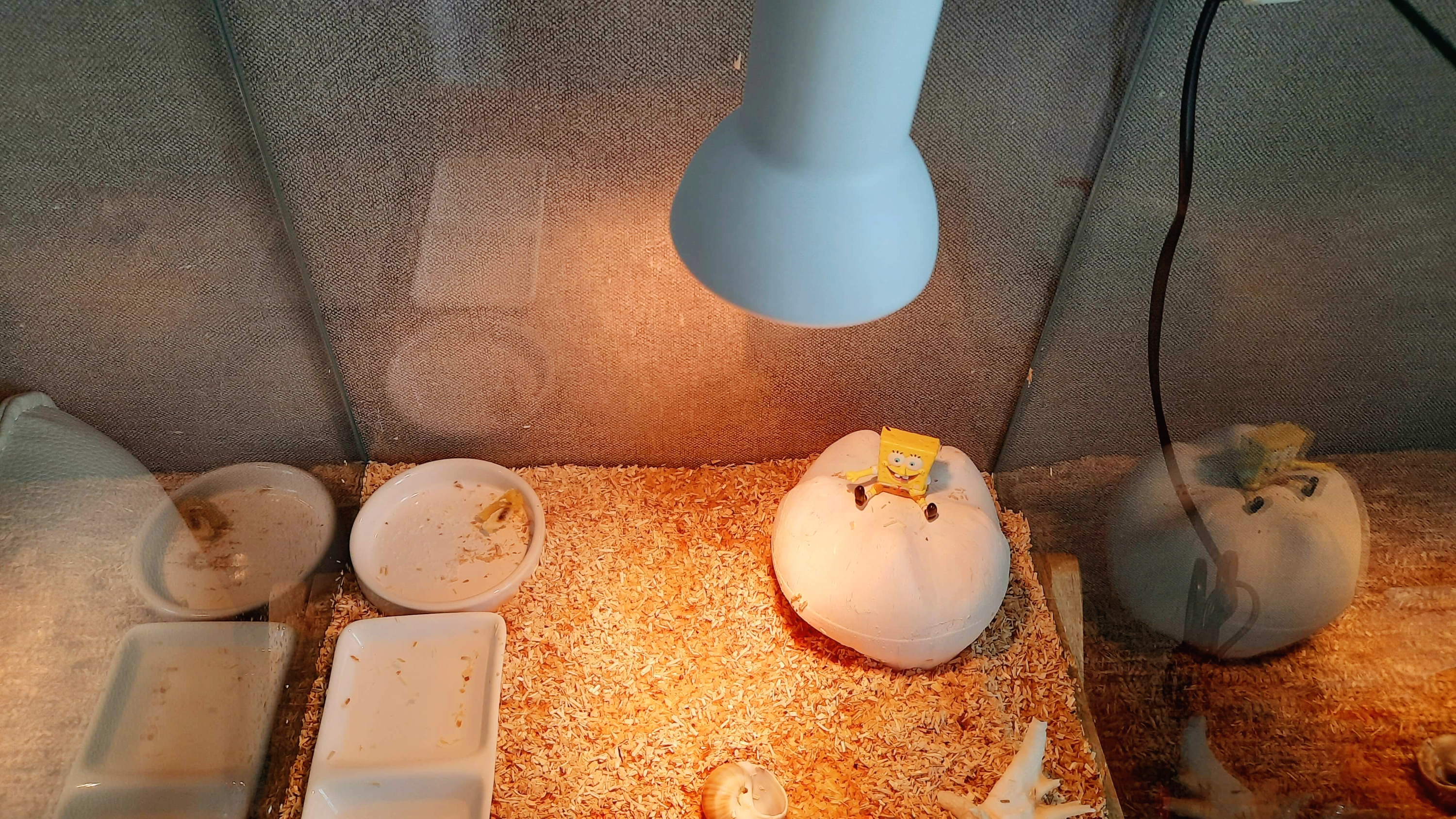 할로겐 램프 점등.