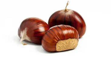 밤 삶는 방법, 밤 효능과 영양 성분