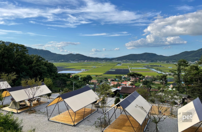 경기-인천-스톤캠핑장-예약-방법-애견-동반-가격-주소-시간-후기