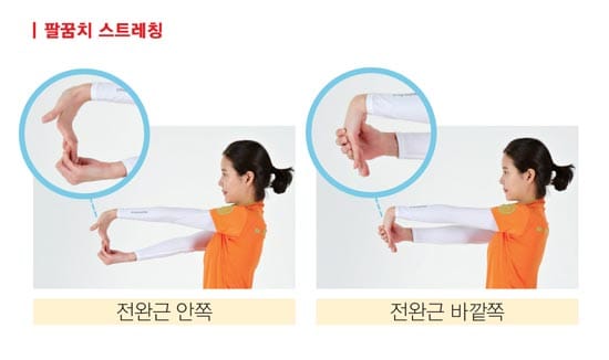 팔꿈치 통증 스트레칭 보호대 착용 주의사항