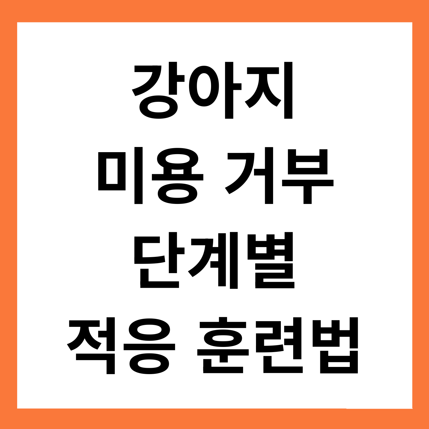 강아지 미용 거부 반응 해결 훈련법: 단계별 적응 팁