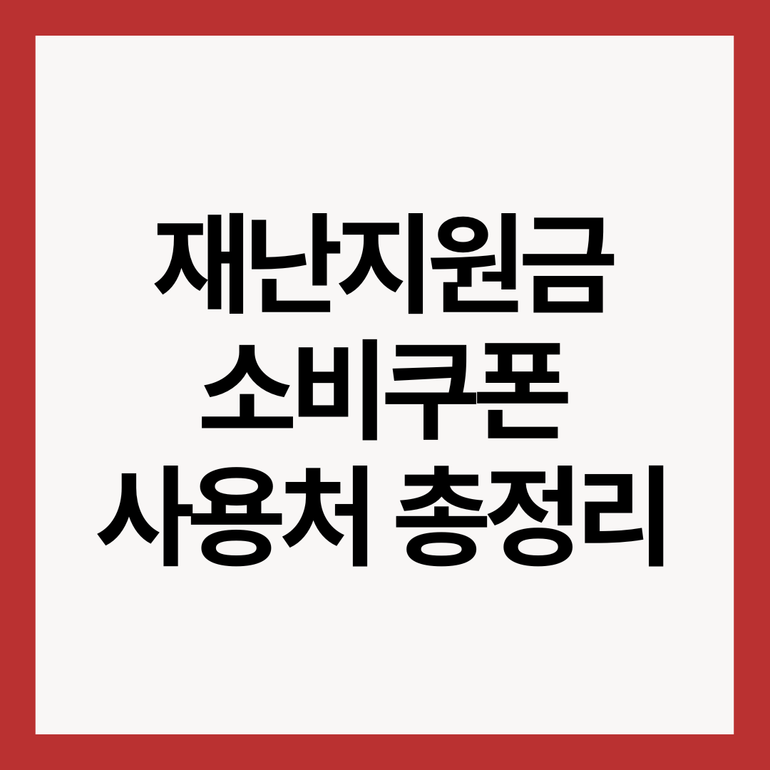 재난지원금-소비쿠폰-사용처