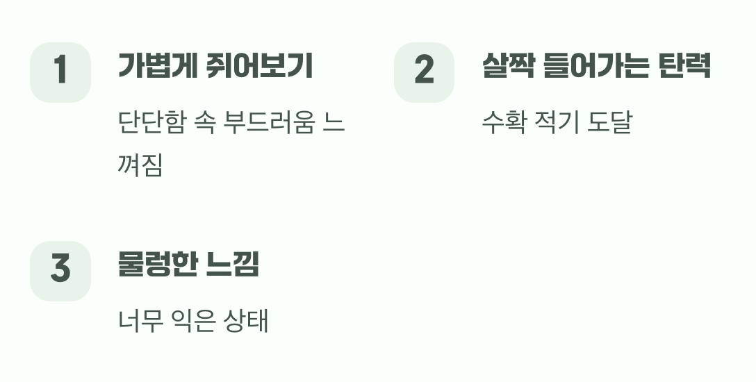 두 번째 신호: 손끝으로 느끼는 부드러움