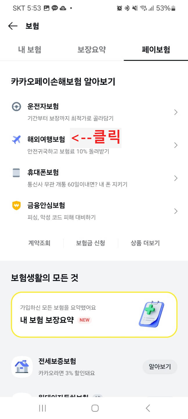 카카오페이해외여행자보험가입4