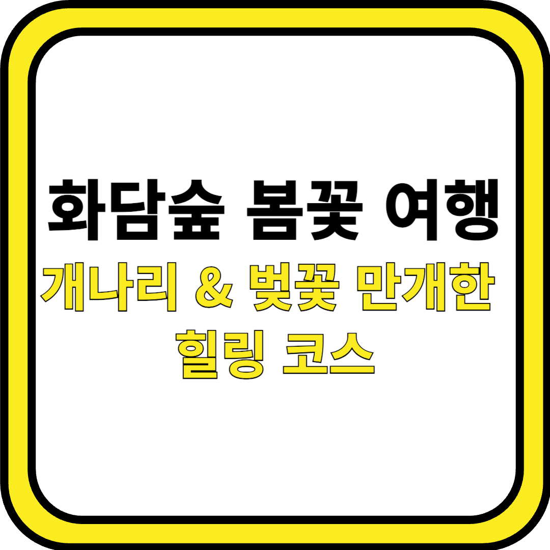 화담숲 봄꽃 여행! 개나리 &amp; 벚꽃 만개한 힐링 코스