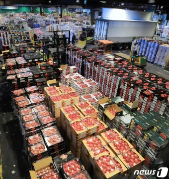 가락동 농산물 경매시세 실시간 확인 완벽 농산물 정보_3