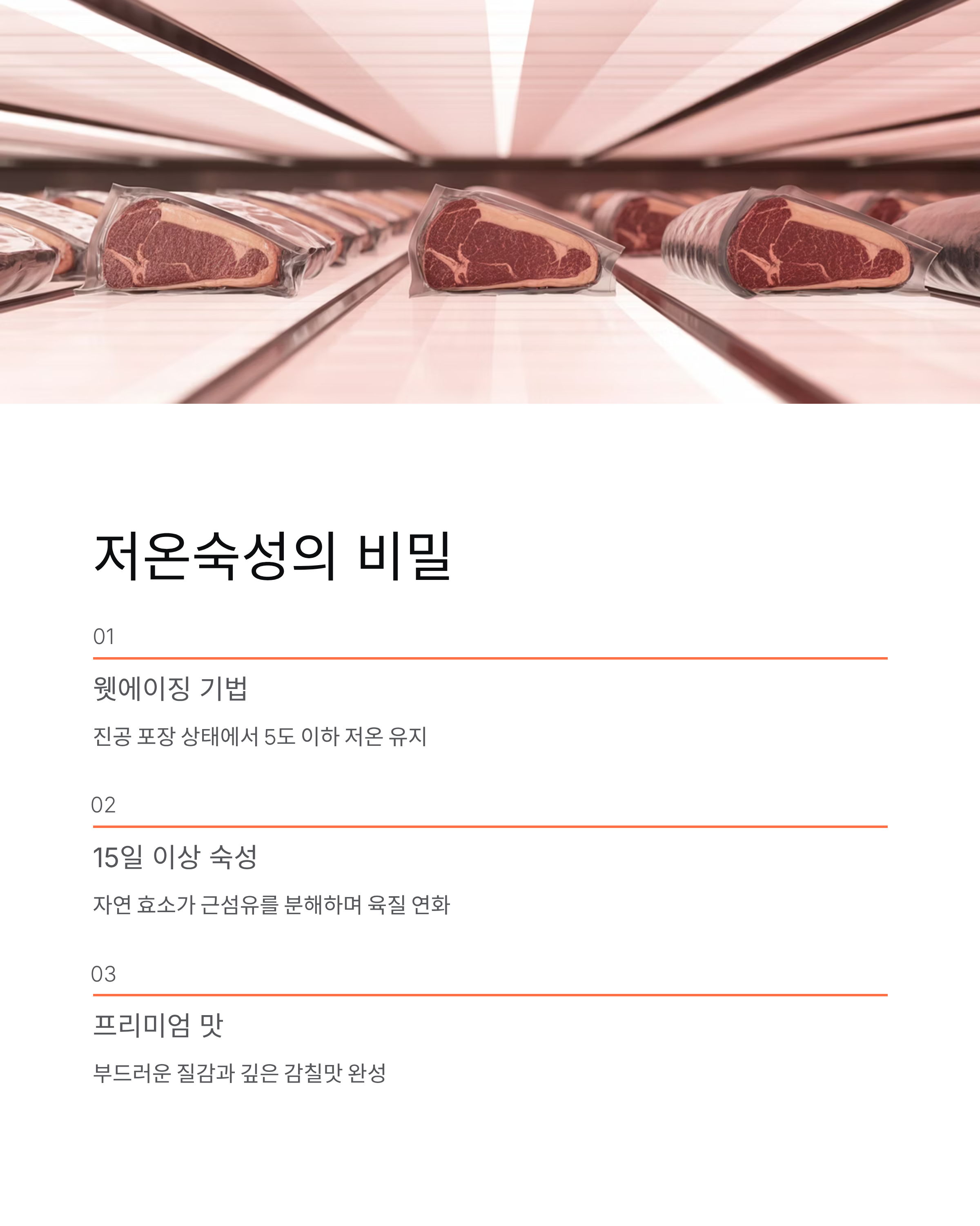 쿠팡 한우데이 기획전, 1++등급 저온숙성 한우 특가!