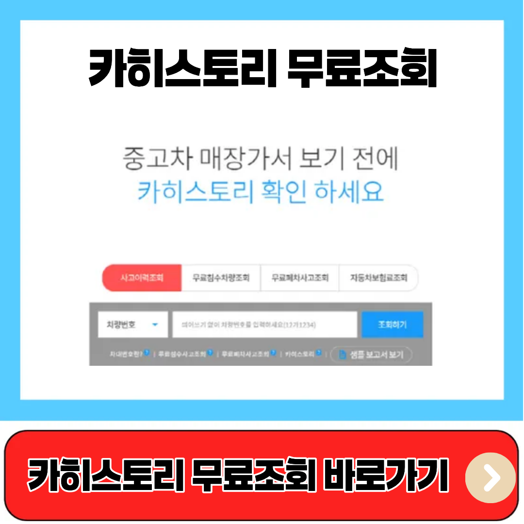 카히스토리 무료조회