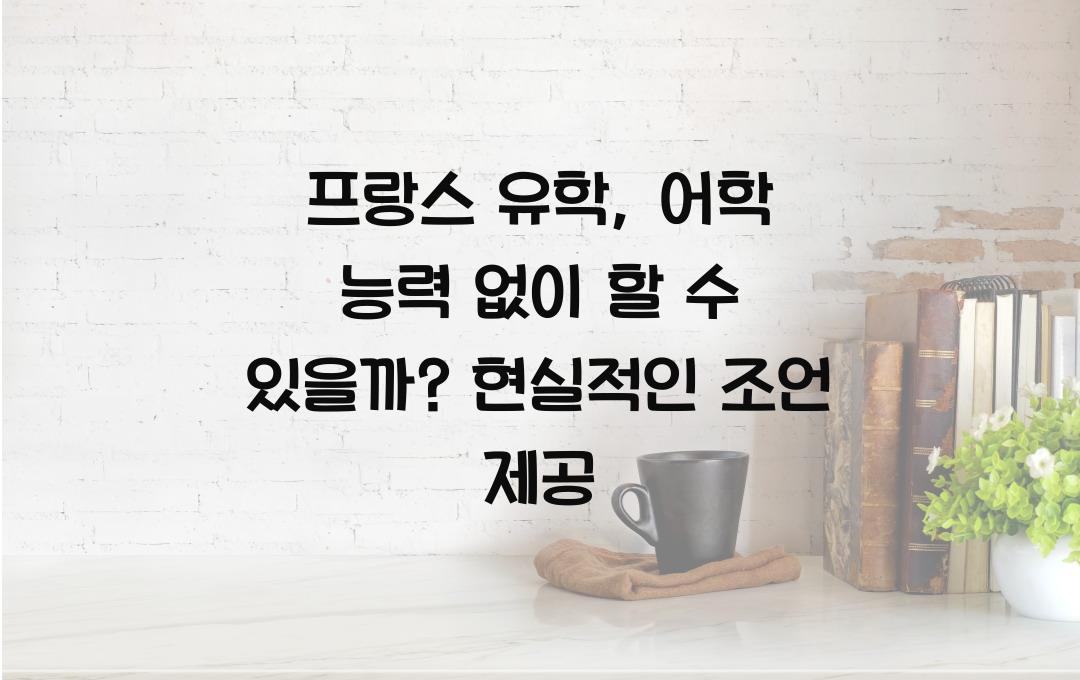 프랑스 유학, 어학 능력 없이 가능할까? 현실적인 조언