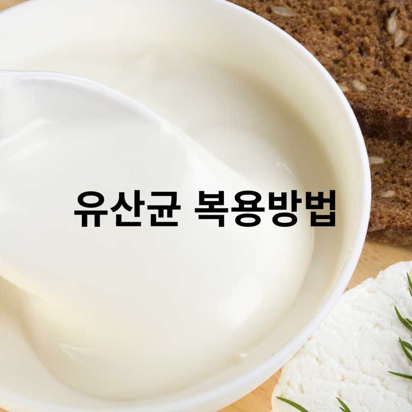 유산균 복용시간별 효과 차이와 올바른 섭취법