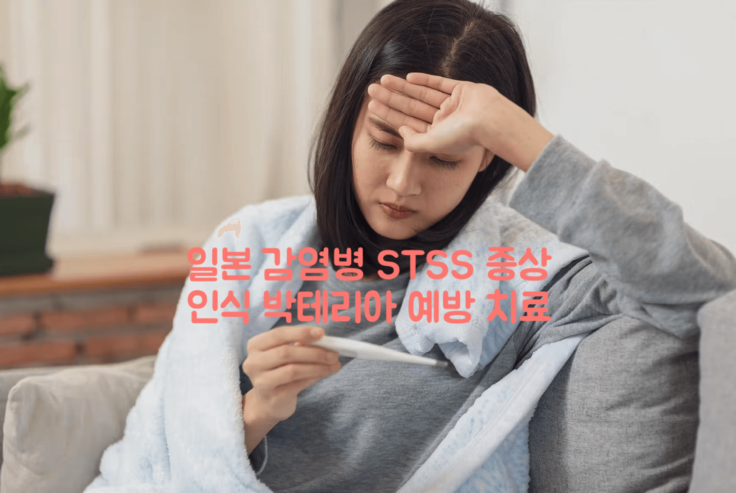 STSS 증상