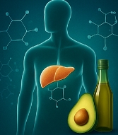 아보카도 오일 효능