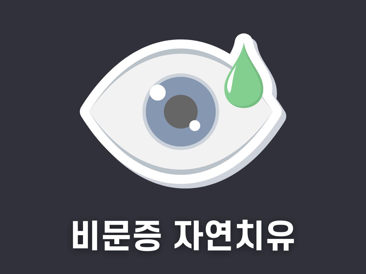비문증 자연치유