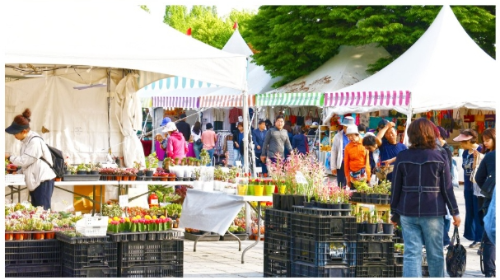 2025 고양 국제 꽃 박람회 플라워마켓