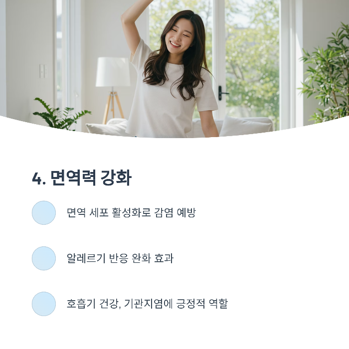 면역력 강화
