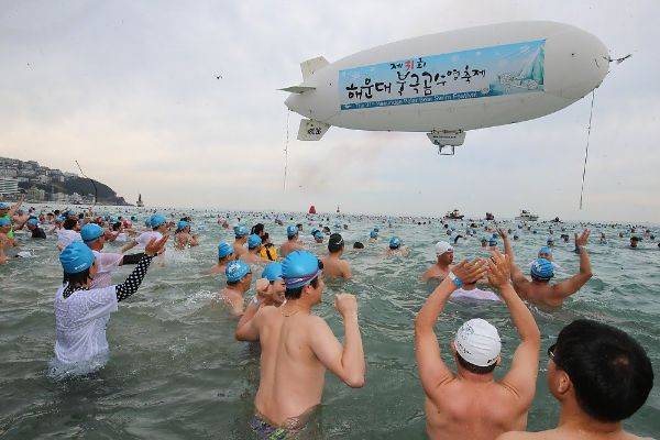해운대 북극곰 축제 북극곰 수영 대회2