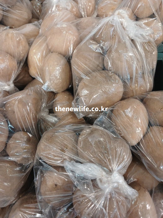 영양 손실 없이 껍질째 찌거나 구워 먹기 위해 비닐에 소분 포장된 깨끗하고 신선한 햇감자 실물 사진