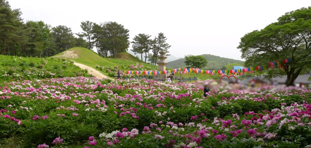 5월에 꼭 가봐야 할 적국 봄꽃 명소