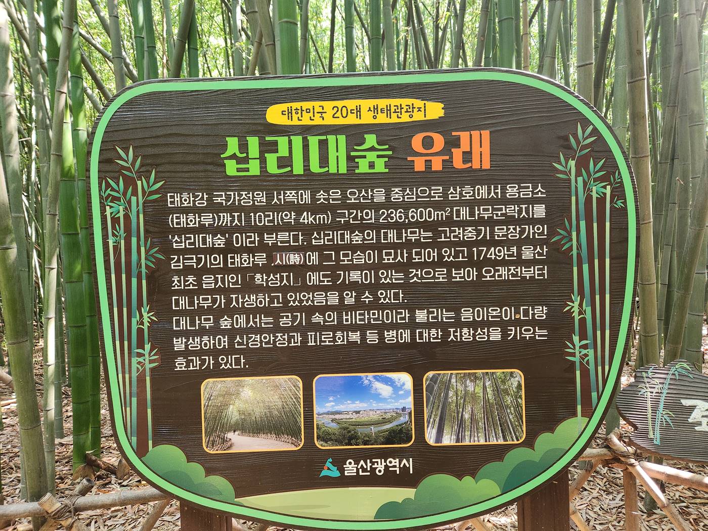 태화강국가정원