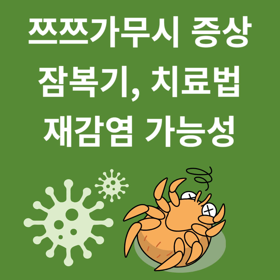 쯔쯔가무시 증상&#44; 잠복기&#44; 치료법