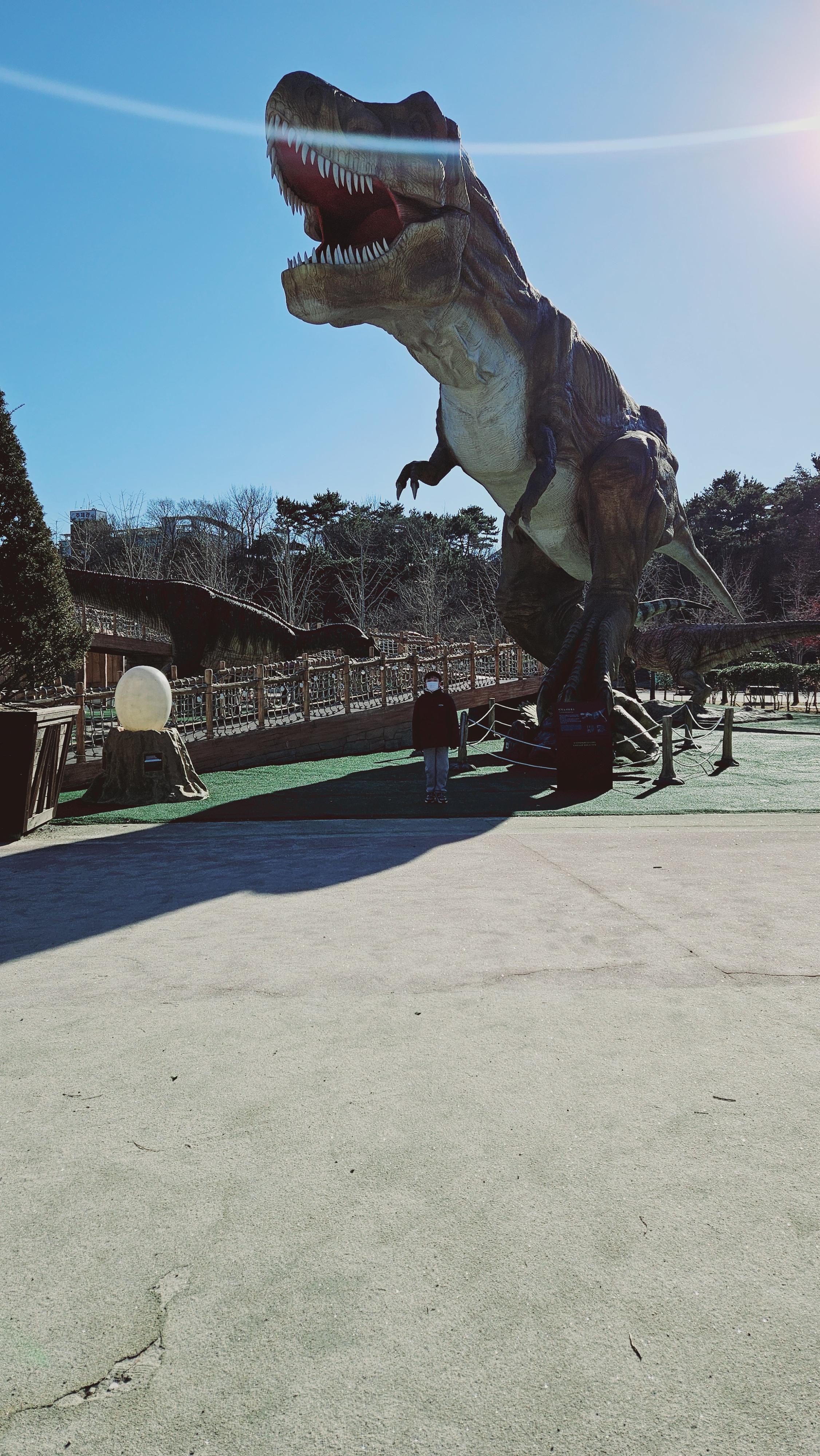 고성당항포랜드