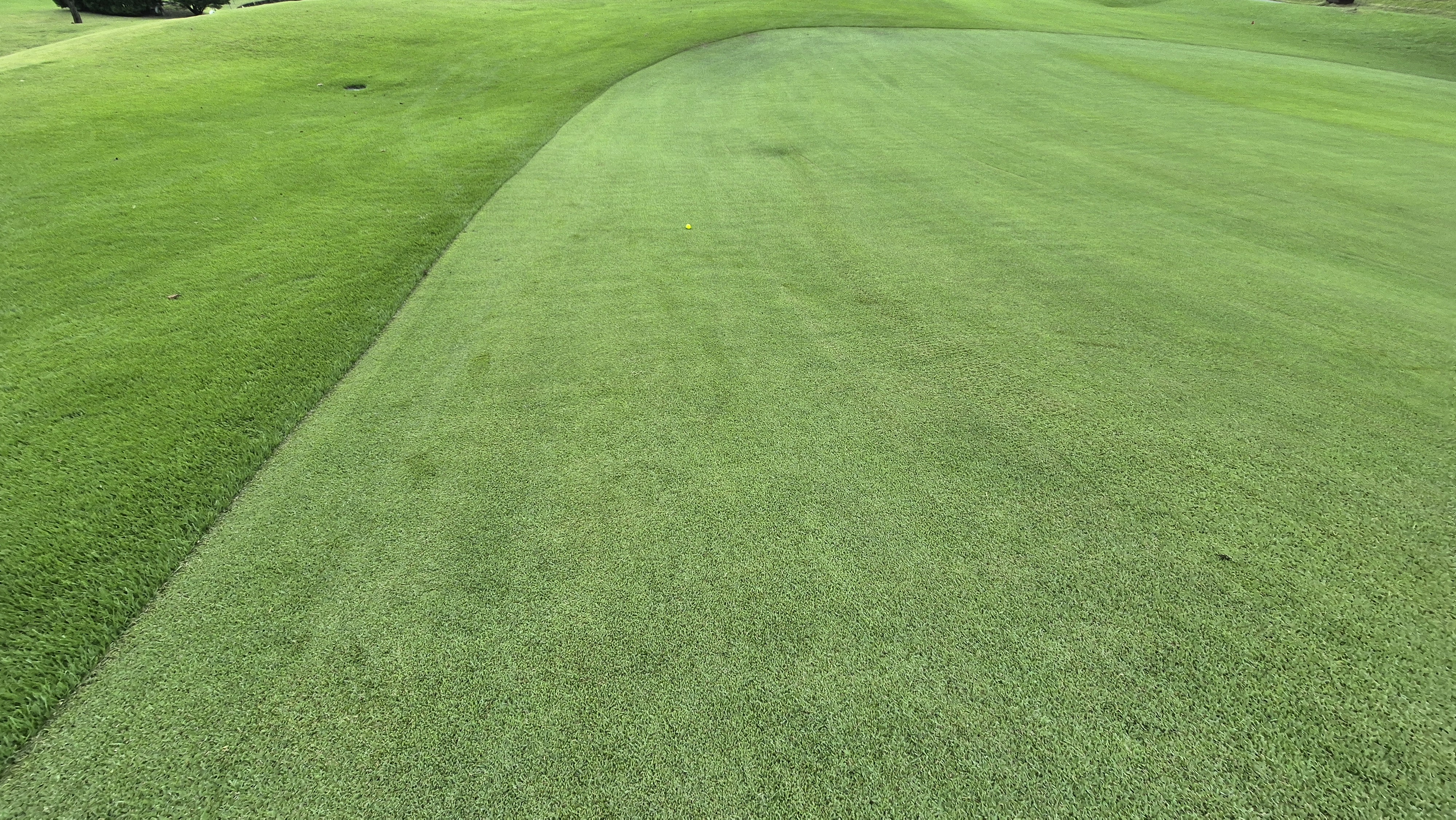 골프존카운티 진천