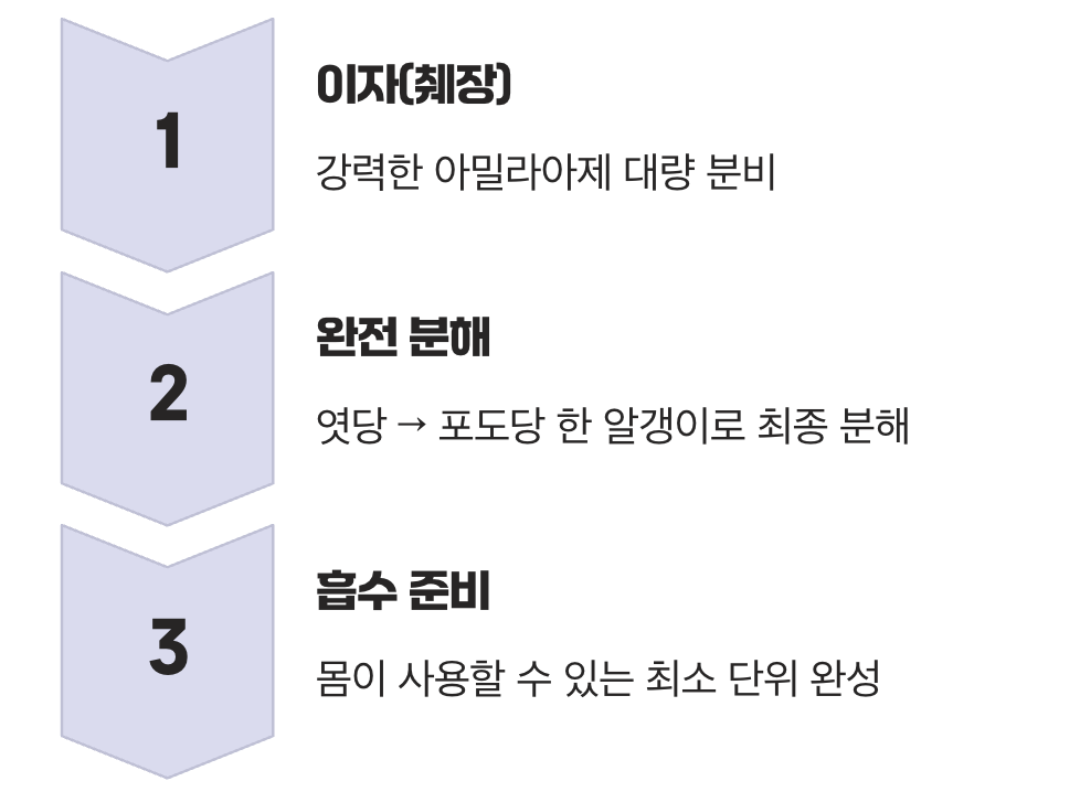 소장에서 펼쳐지는 본격적인 소화 쇼