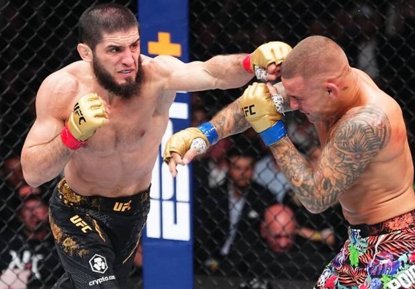 UFC 330