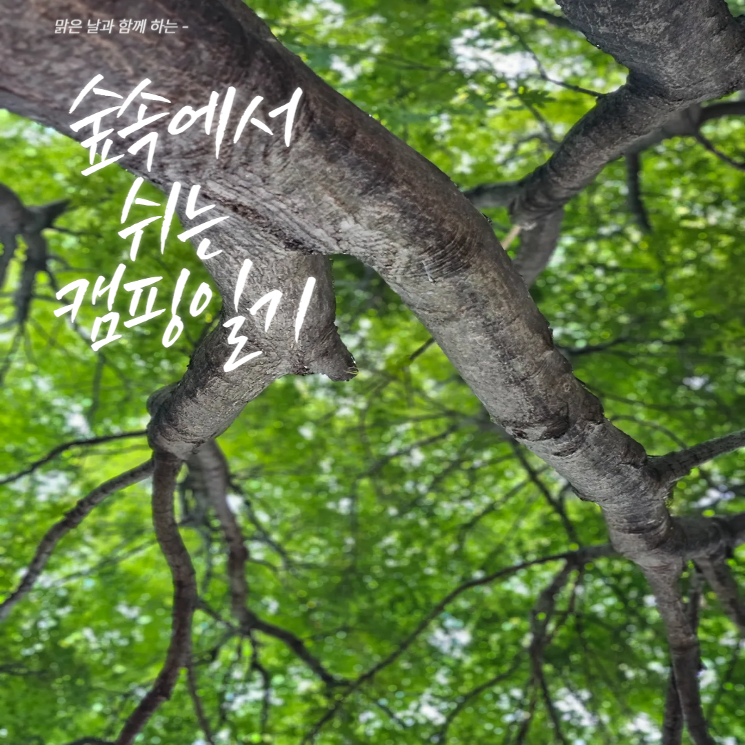 장령산 자연휴양림 캠핑장