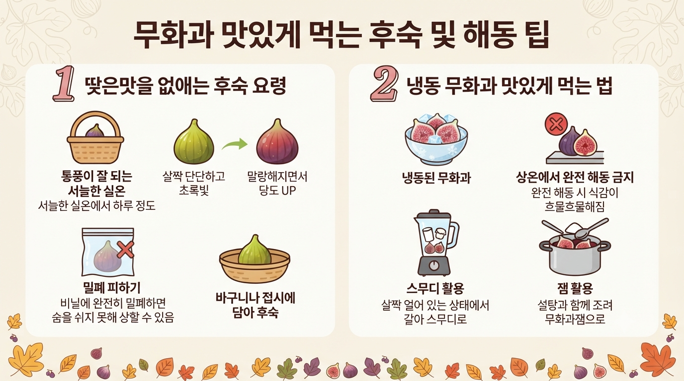 무화과 보관방법