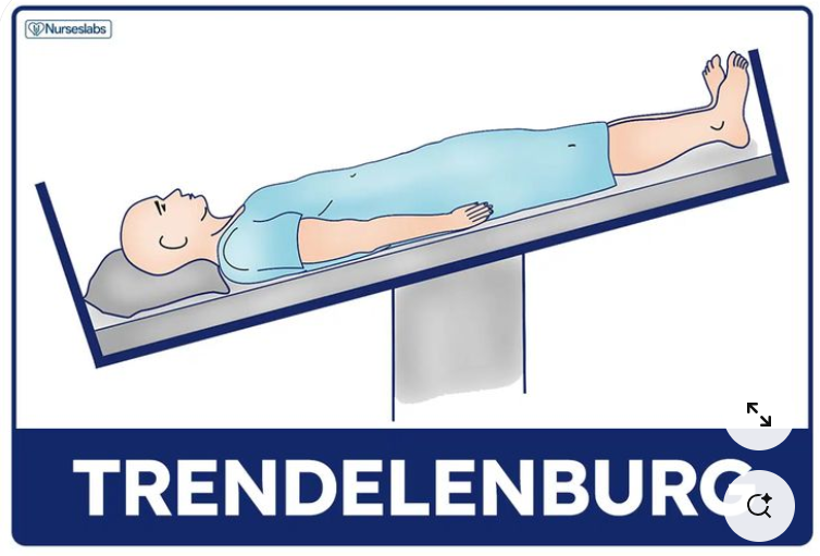 트렌델렌버그 자세