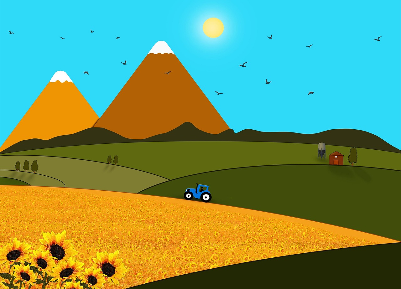 지루성 피부염 완치