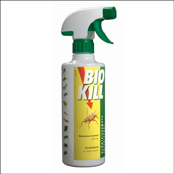 좀벌레 퇴치약 이미지